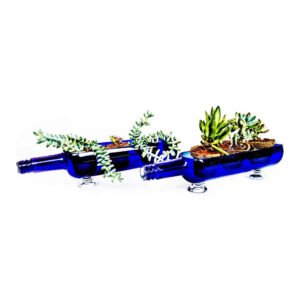 Eco-friendly upcycled glass bottle planter set for home décor