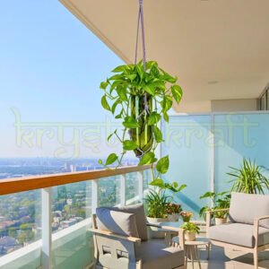 Olive green upcycled Sula hanging bottle planter for indoor and outdoor décor”
